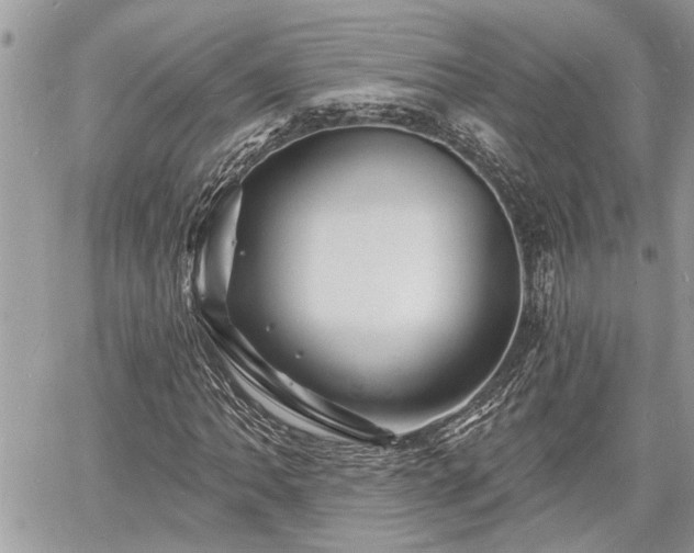 X0000060741062200511171051