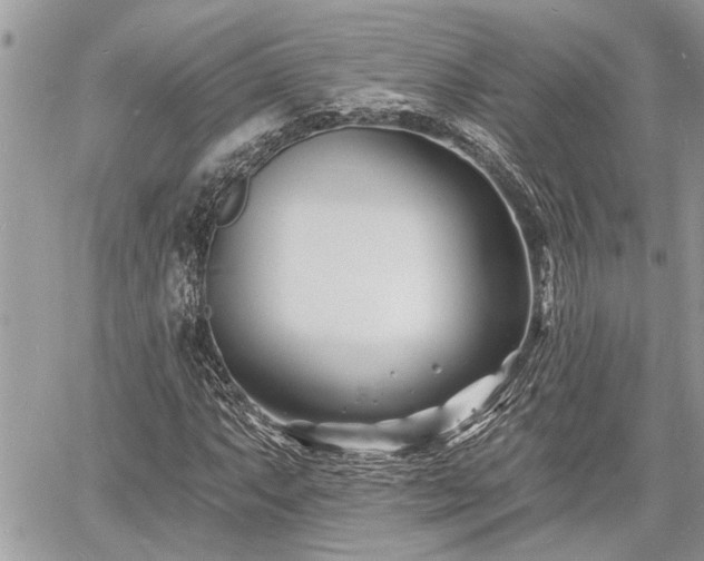 X0000060741063200511171051