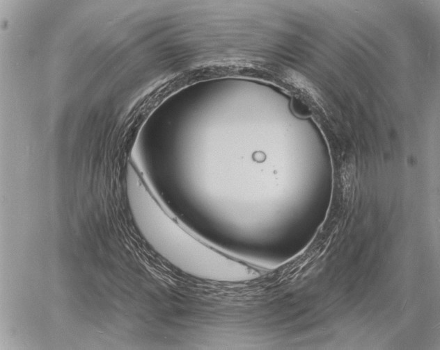 X0000060741064200511171051