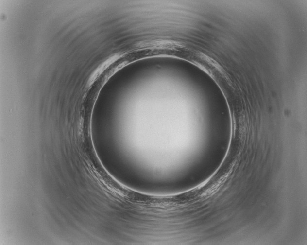 X0000060741066200511171051