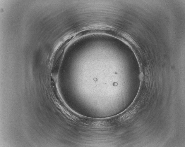 X0000060741067200511171051