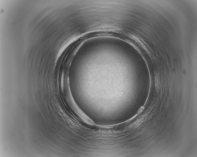 X0000060741069200511171051