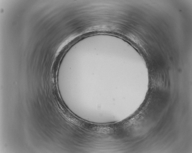 X0000060741070200511171051