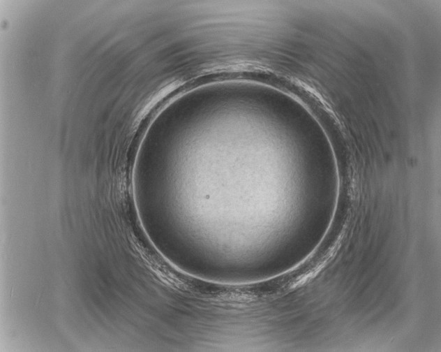 X0000060741073200511171051