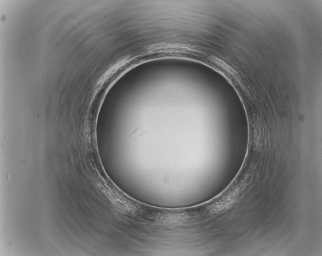 X0000060741074200511171051