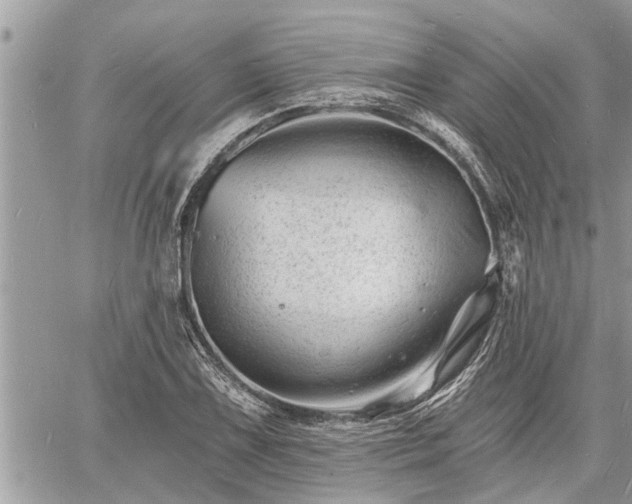 X0000060741075200511171051