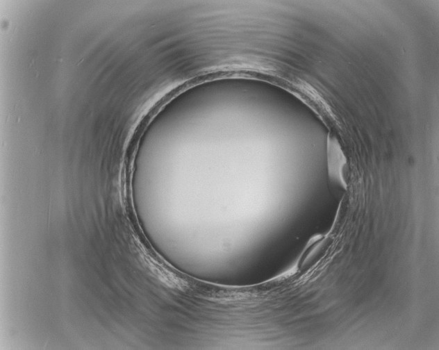 X0000060741076200511171051