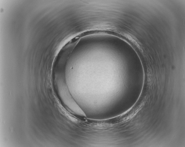 X0000060741077200511171051