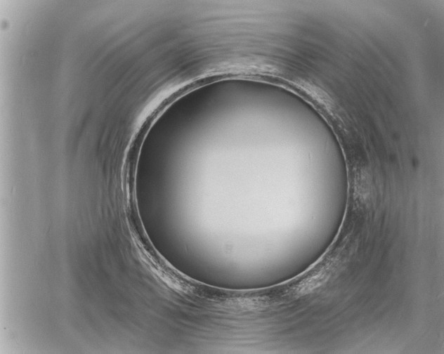 X0000060741078200511171051