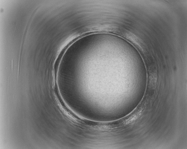 X0000060741079200511171051