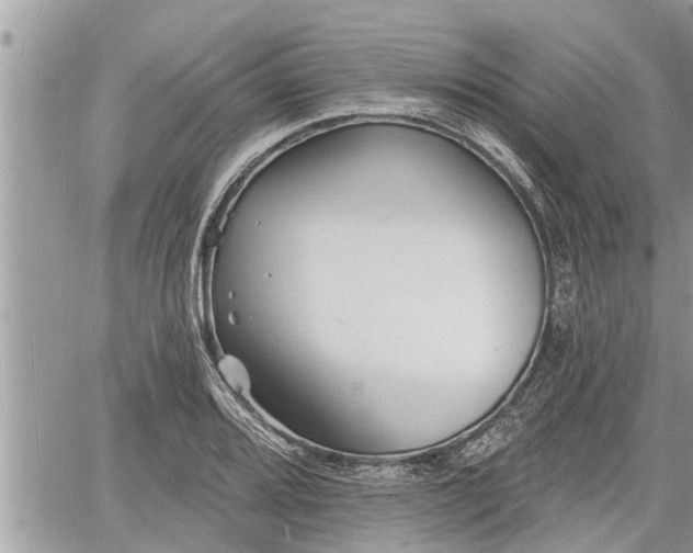 X0000060741080200511171051