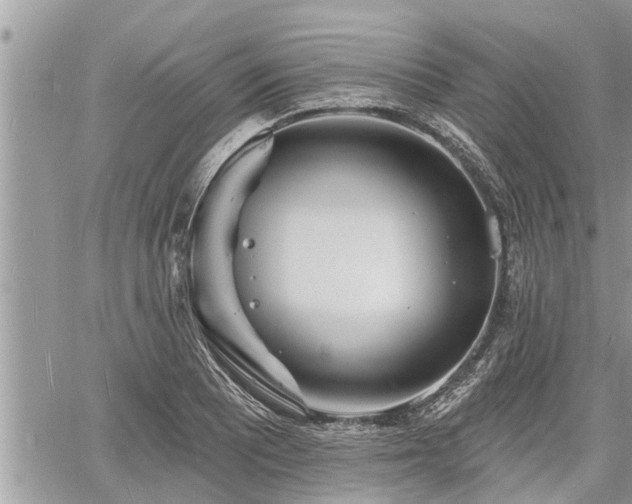 X0000060741081200511171051