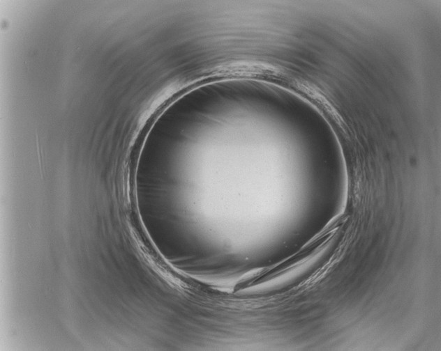 X0000060741083200511171051