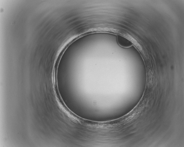 X0000060741084200511171051