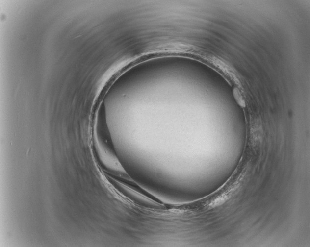 X0000060741085200511171051