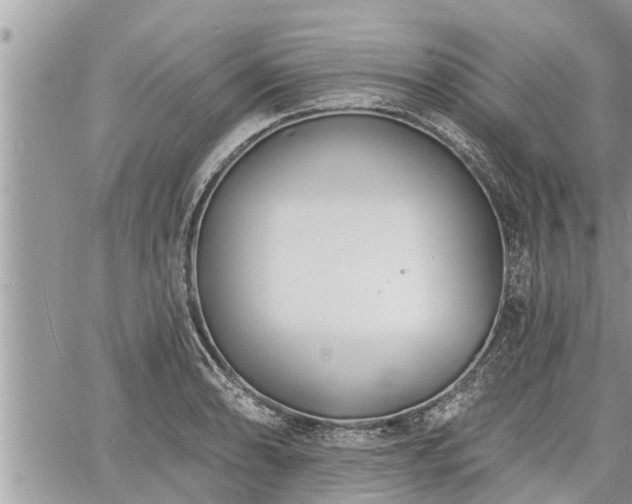 X0000060741086200511171051