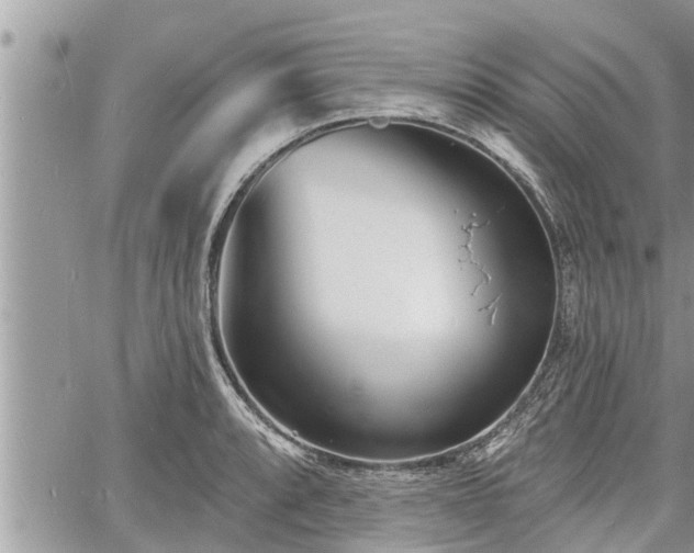 X0000060741088200511171051