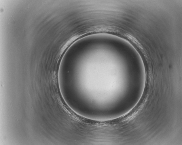 X0000060741089200511171051