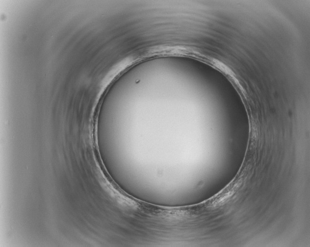 X0000060741090200511171051