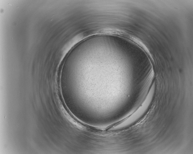 X0000060741091200511171051