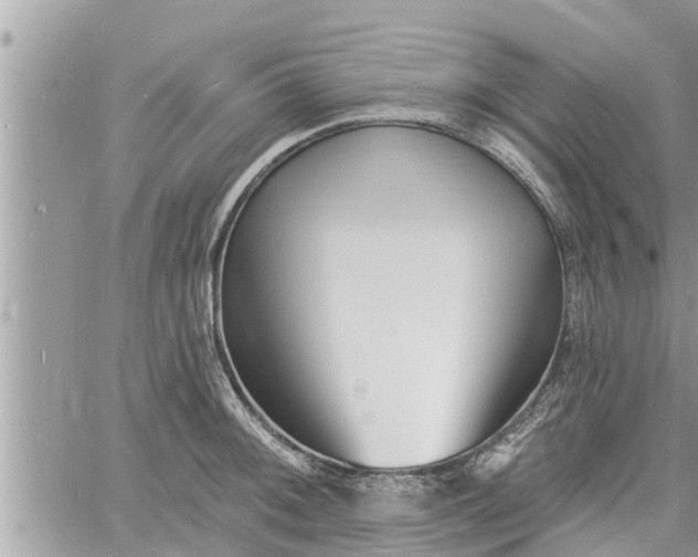 X0000060741092200511171051