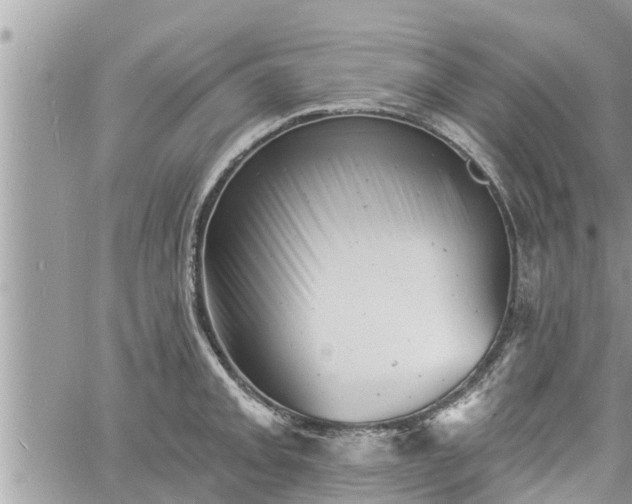 X0000060741093200511171051