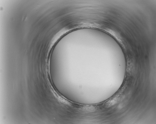 X0000060741094200511171051