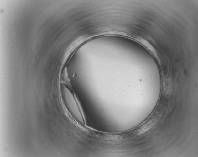 X0000060741096200511171051