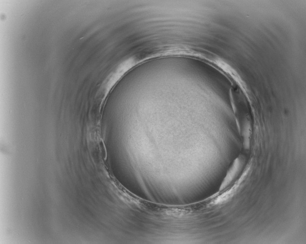 X0000060741097200511171051