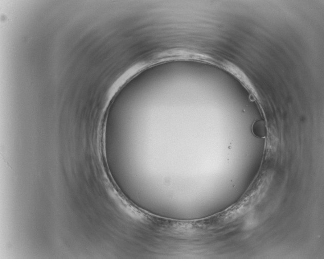 X0000060741098200511171051