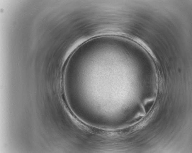 X0000060741101200511171051