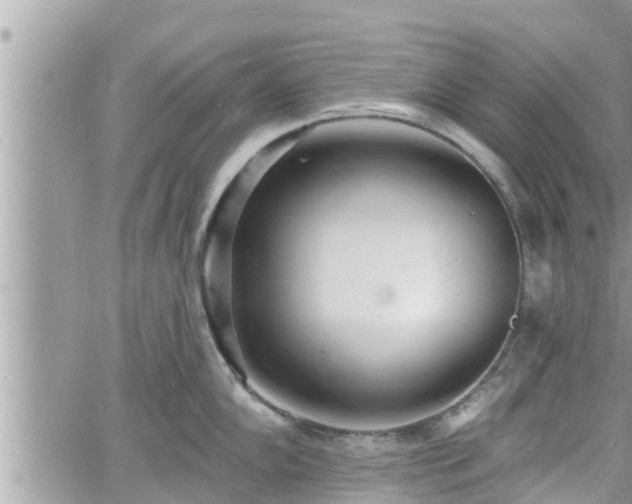 X0000060741102200511171051