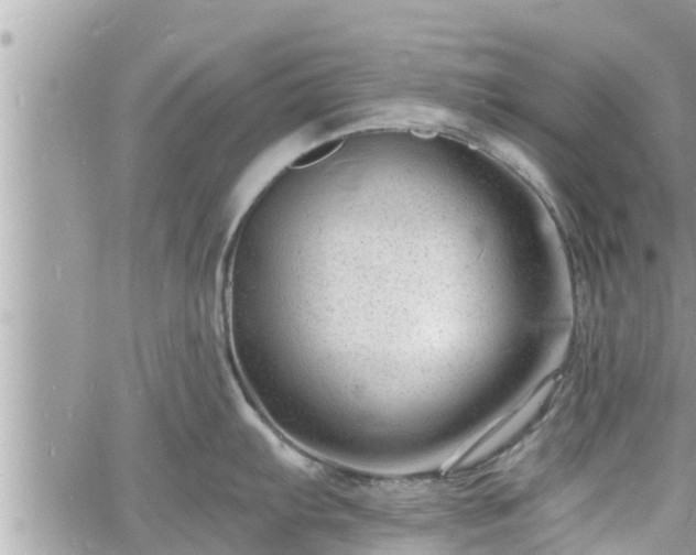 X0000060741103200511171051