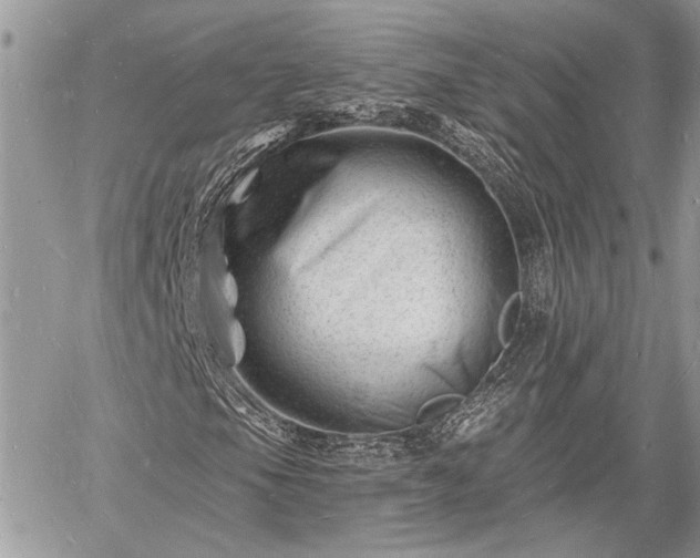 X0000060741105200511171050