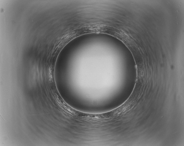 X0000060741106200511171050