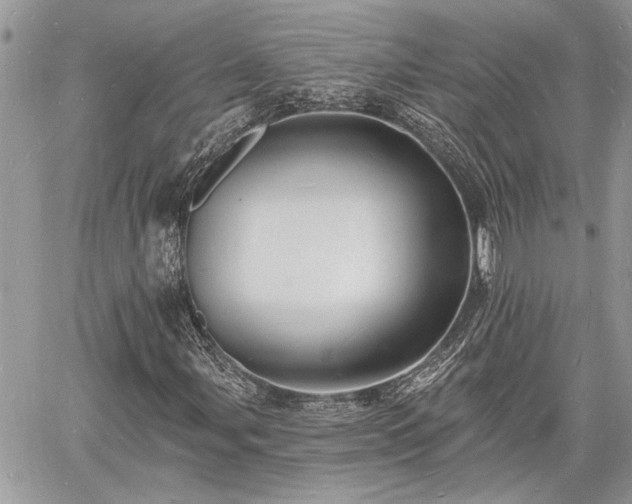 X0000060741107200511171050