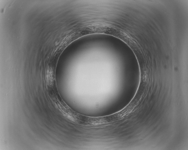 X0000060741108200511171050