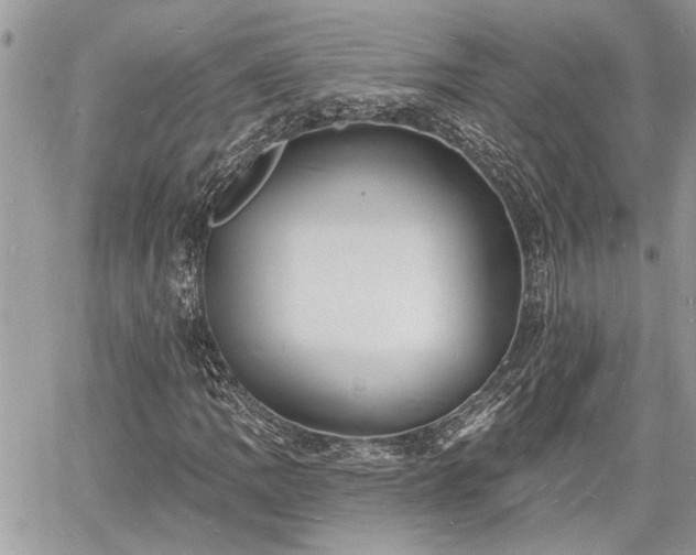 X0000060741109200511171050