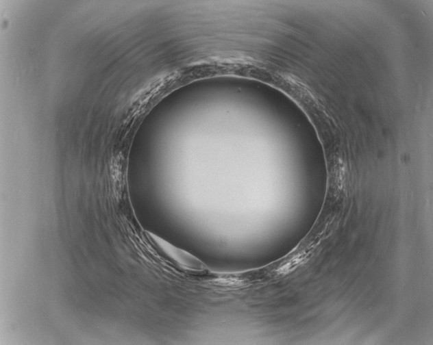 X0000060741110200511171050