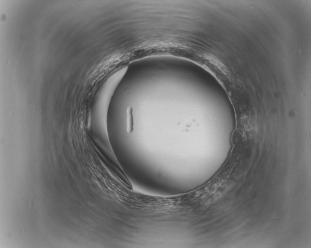 X0000060741111200511171050