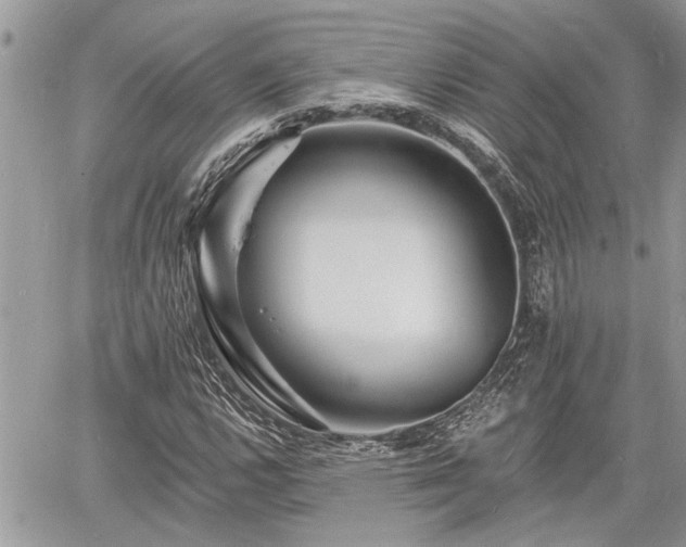 X0000060741112200511171050