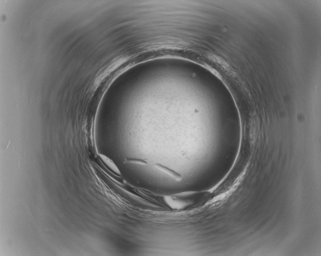 X0000060741113200511171050