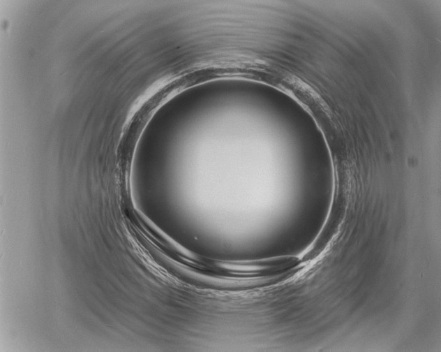 X0000060741114200511171050