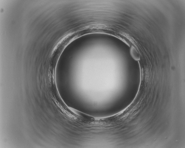 X0000060741115200511171050