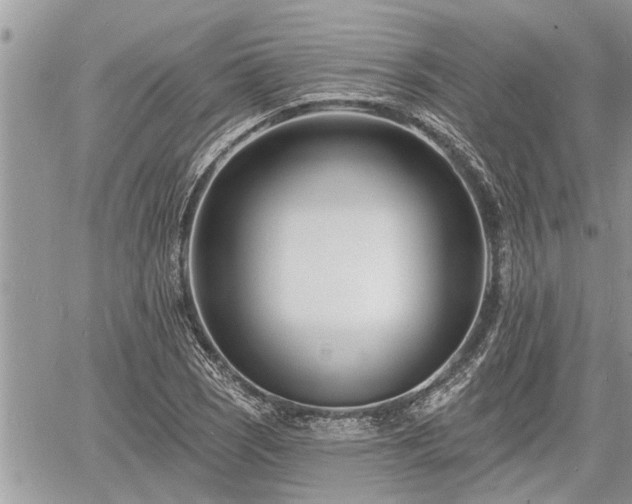 X0000060741121200511171050