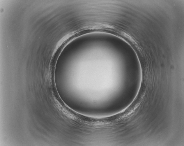 X0000060741122200511171050