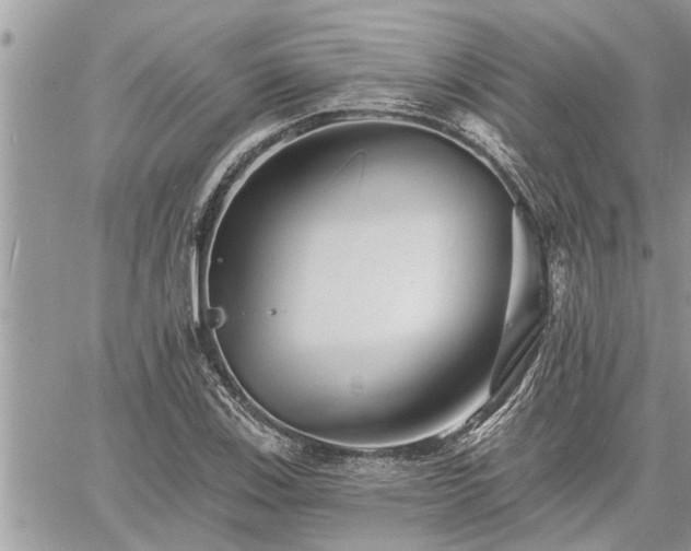 X0000060741123200511171050