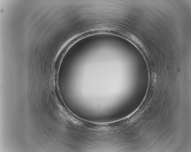 X0000060741124200511171050