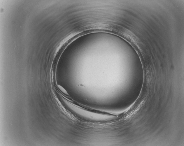 X0000060741125200511171050