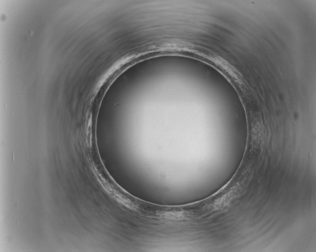 X0000060741126200511171050